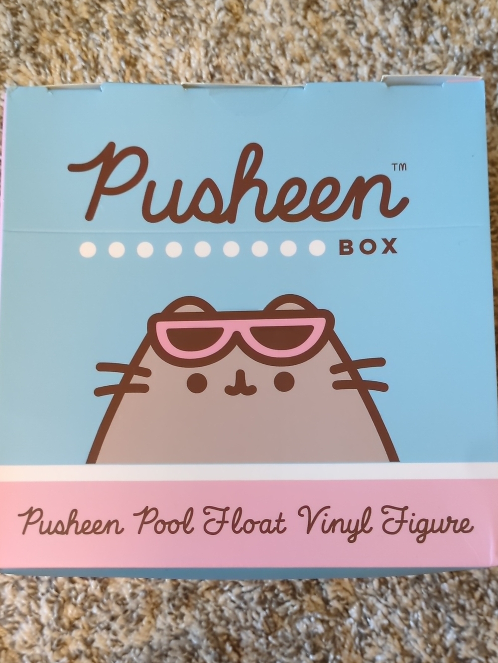Pusheen Pool Float Vinyl Figure